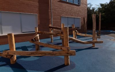 Diseño y ejecución de naturalización del patio Sostenible del colegio público Lorenzo Goicoa de Villava. Copiar